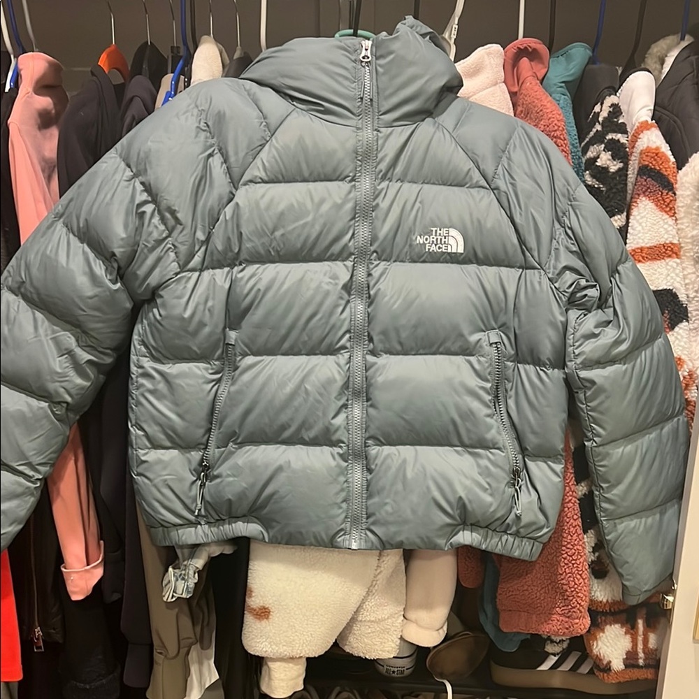 The North Face Hydrenalite Down Hoodie